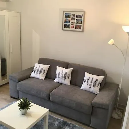 Superbe Studio Avec Parking Prive Gratuit 公寓 达克斯